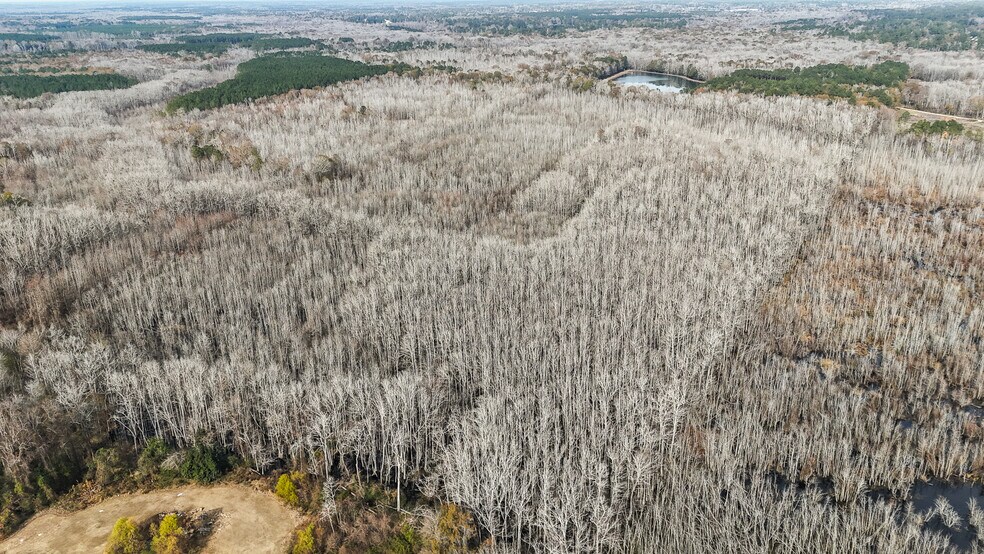 More Photos Of 409 Windward Ave, Orangeburg Land For Sale