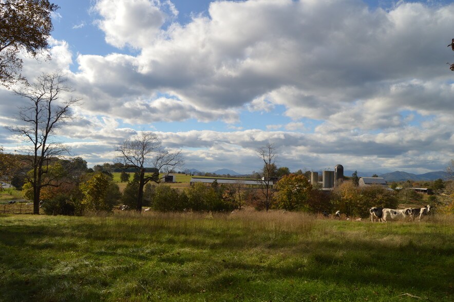 More Photos Of 16380 Forest Rd, Forest Land For Sale