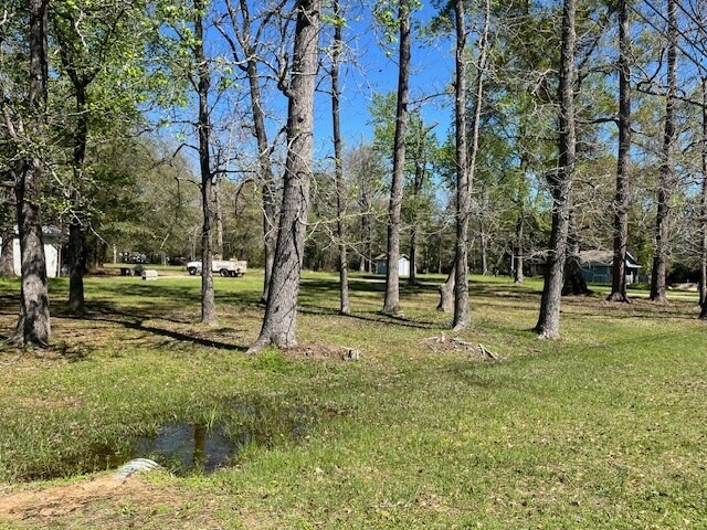 More Photos Of 13527 McComb Rd, Conroe Land For Sale