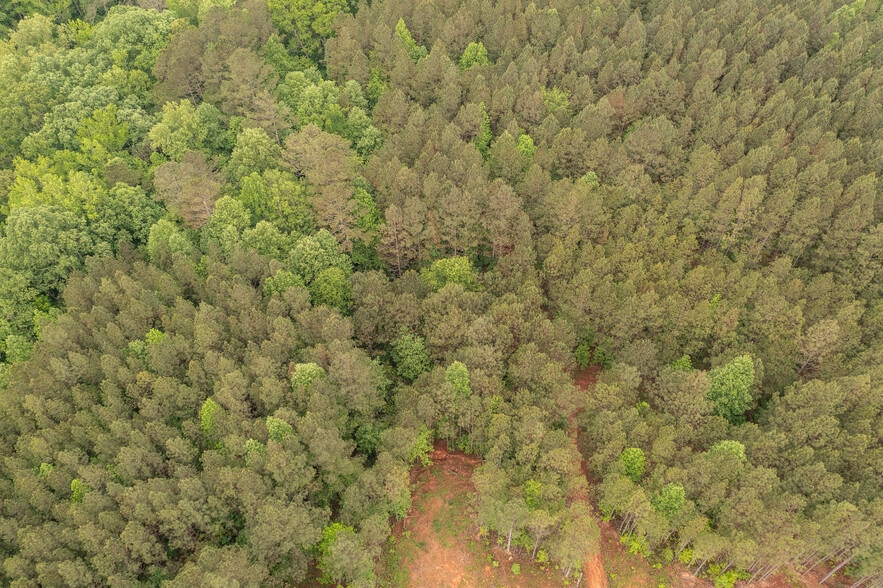 More Photos Of HWY 515 & Hidden Creek rd, Jasper Land For Sale