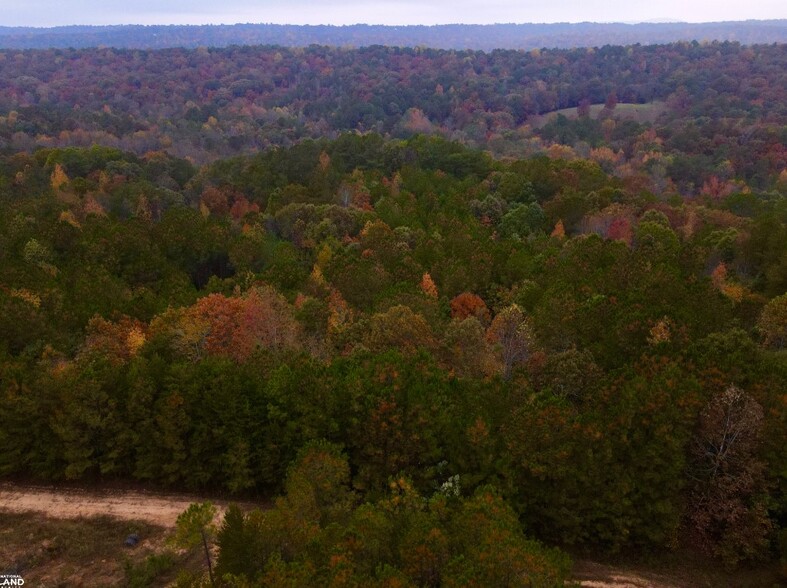 Primary Photo Of EO Road, Odenville Land For Sale