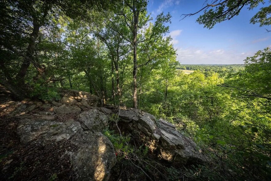 More Photos Of 0 County Road 328, Era Land For Sale