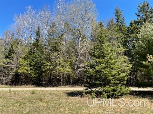 More Photos Of TBD Ackerman Lake Road, Munising Land For Sale