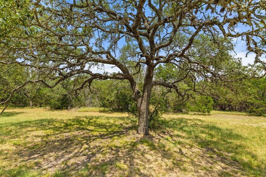 More Photos Of 1984 Grape Creek rd, Fredericksburg Specialty For Sale