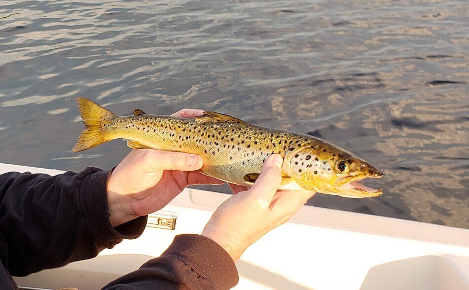 More Photos Of 6003 Route 201, Parlin Pond Twp Lodge Meeting Hall For Sale