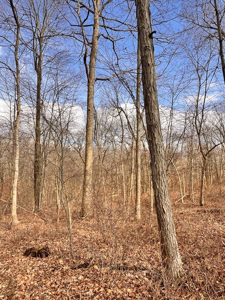 More Photos Of 15 GLECOE Rd, Dellroy Land For Sale