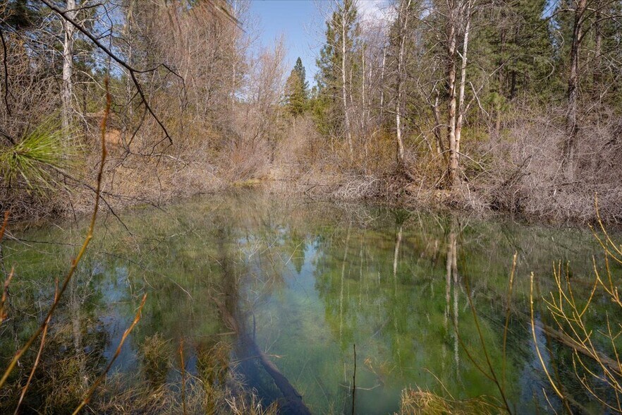 More Photos Of 6409 Kangaroo Creek Rd, Gazelle Land For Sale