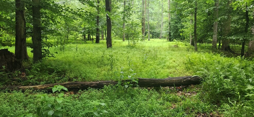 More Photos Of 8710 Poorhouse Rd, Port Tobacco Land For Sale