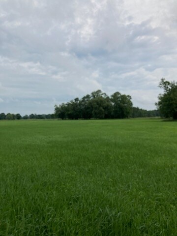 More Photos Of 65 Juliet Dr, Warwick Land For Sale