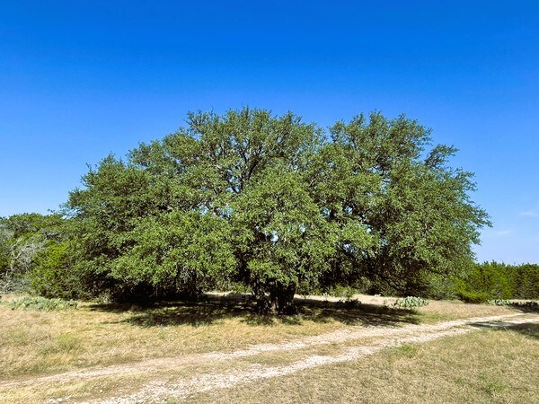 More Photos Of 4547 County Road 108, Burnet Land For Sale