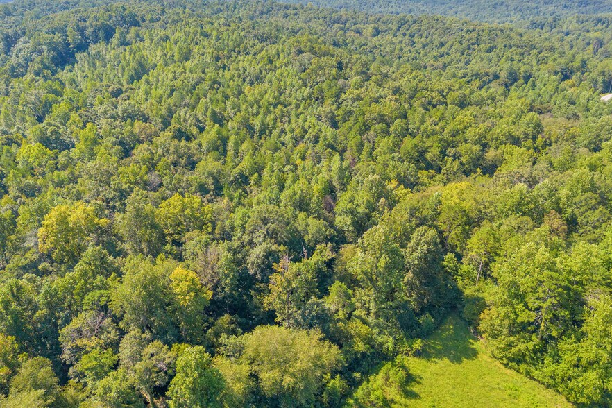 More Photos Of 8 Fornoff Dr, Toccoa Land For Sale