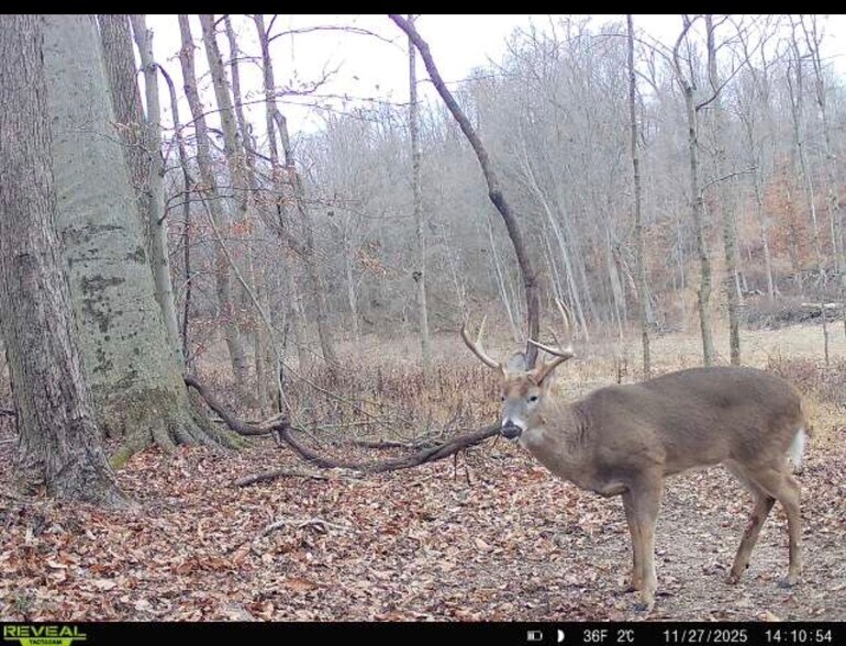 More Photos Of Burch Dr, Newark Land For Sale