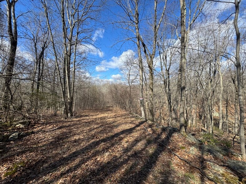 More Photos Of 43 Walnut Lane, Weston Land For Sale