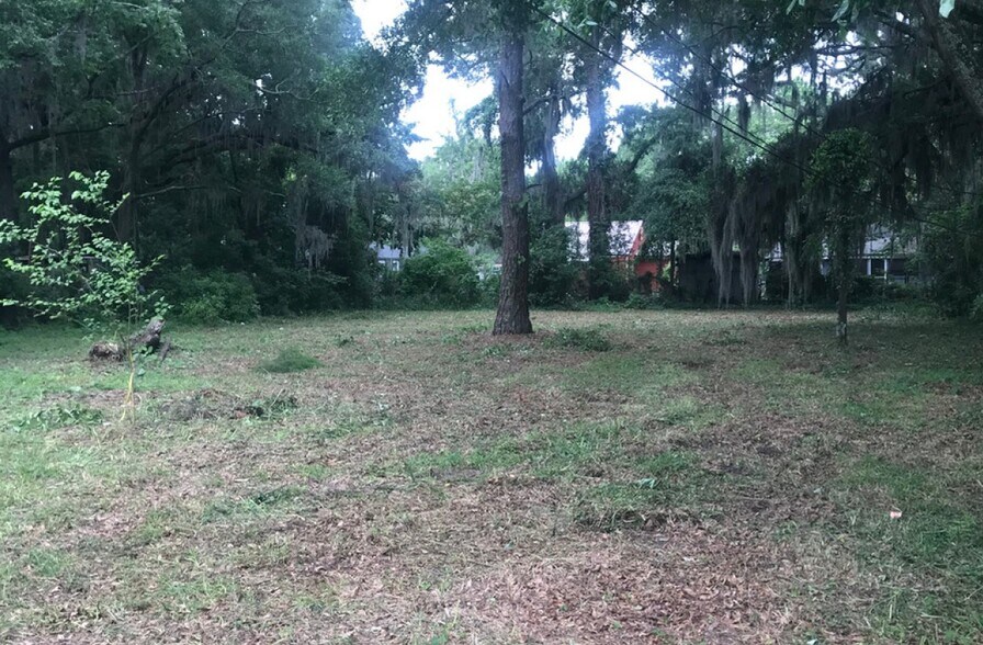 More Photos Of 235 W De Renne Ave, Savannah Land For Sale