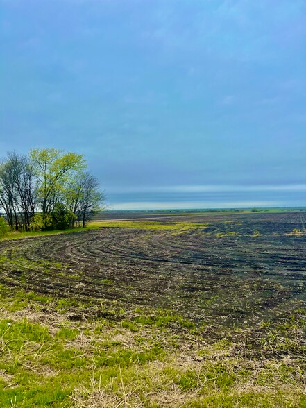 More Photos Of NWC Highway 175 & CR 4104, Crandall Land For Sale