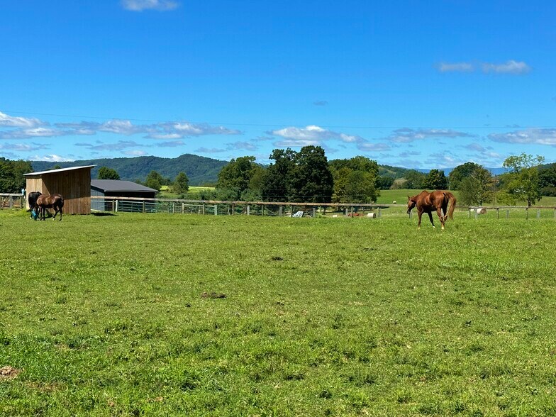 More Photos Of 3476 Fairview Rd, Lewisburg Specialty For Sale