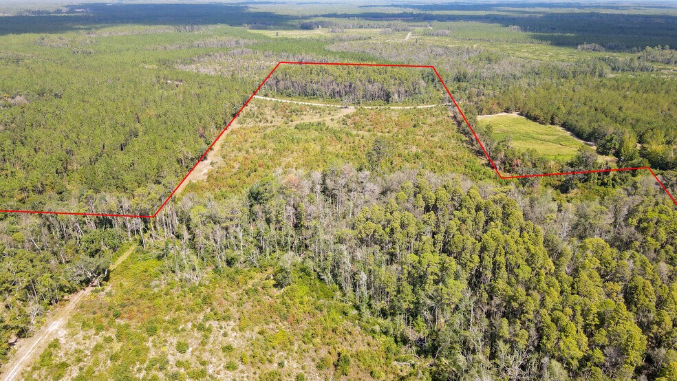 More Photos Of TBD NE 36th Drive Dr, Jasper Land For Sale