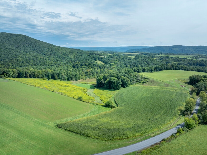 More Photos Of 222 Penns Cave Rd, Centre Hall Specialty For Sale