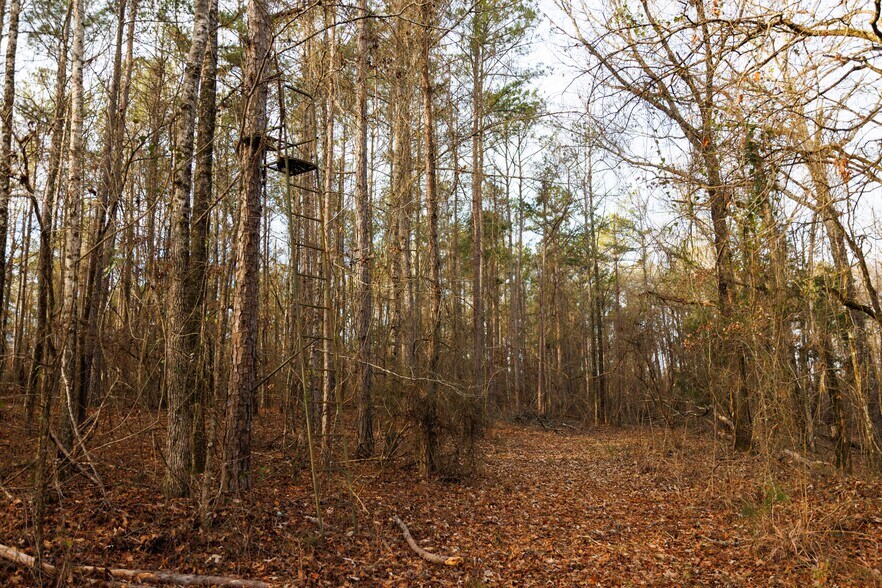 More Photos Of Jug Factory Road, Wetumpka Land For Sale