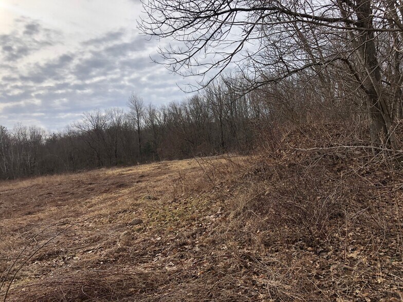 61 Maple Ave, South Grafton, MA 01560 Land For Sale