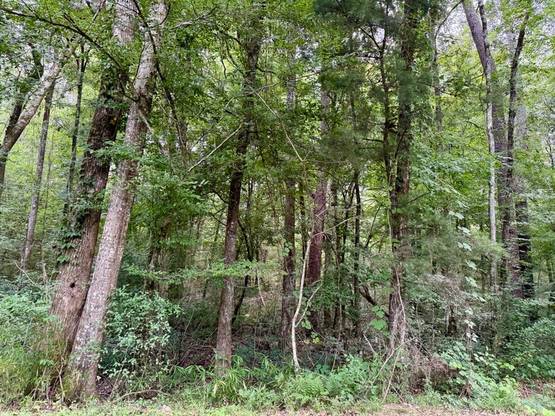 More Photos Of 2194 MS-570, Summit Land For Sale