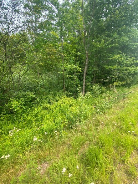 More Photos Of New Hampshire Route 12, Westmoreland Land For Sale