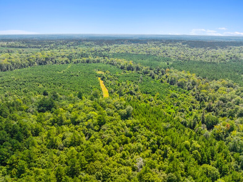 More Photos Of 7471 Highway 155, Saline Land For Sale