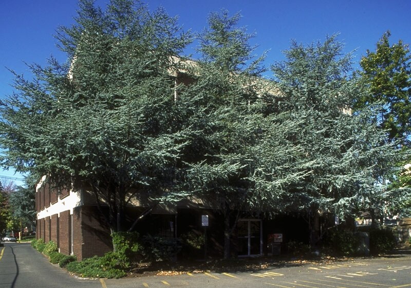 More Photos Of 701 Newark Ave, Elizabeth Office For Lease