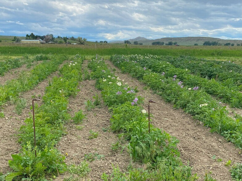 More Photos Of 157 Hergenrider Rd, Bridger Land For Sale