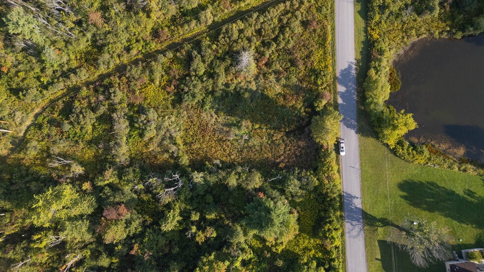 More Photos Of 219 Mudge rd, Delanson Land For Sale