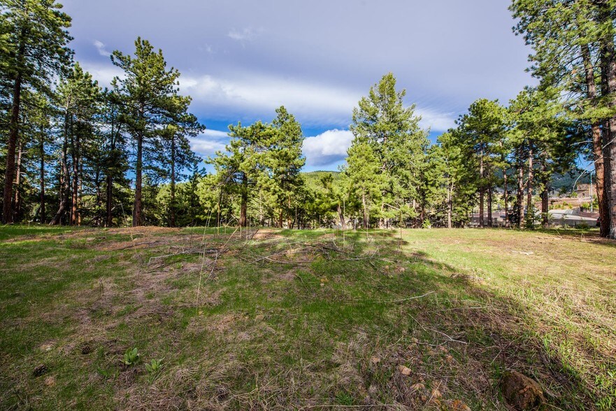 More Photos Of 10250 S Highway 73, Conifer Land For Sale