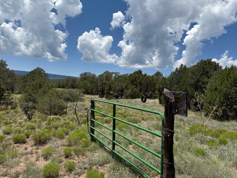 More Photos Of 44 Forest 321 Rd, Estancia Land For Sale