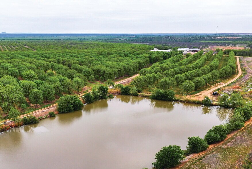 More Photos Of 450 County Road 417, Goldthwaite Land For Sale