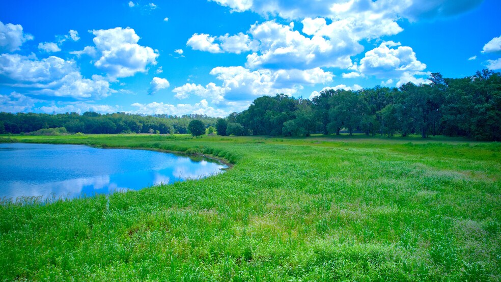More Photos Of 3267 Neff Lake Rd, Brooksville Land For Sale