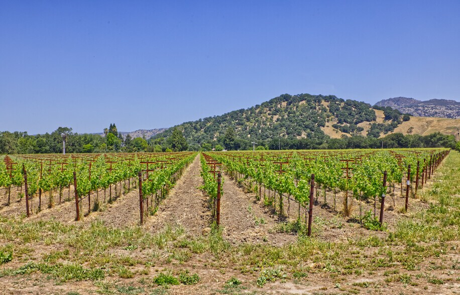 More Photos Of 6160 St Helena hwy, Napa Land For Sale