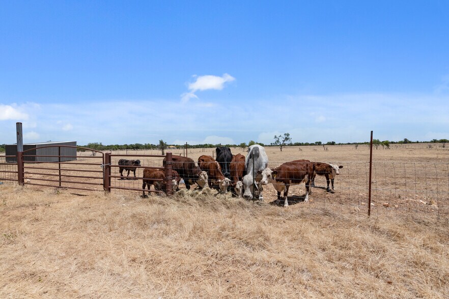 More Photos Of 1150 County Road 308, Jarrell Land For Sale