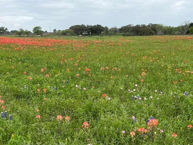 More Photos Of Highway 90A, Shiner Land For Sale