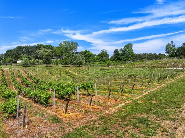 More Photos Of 2317 GA-382, Ellijay Winery Vineyard For Sale