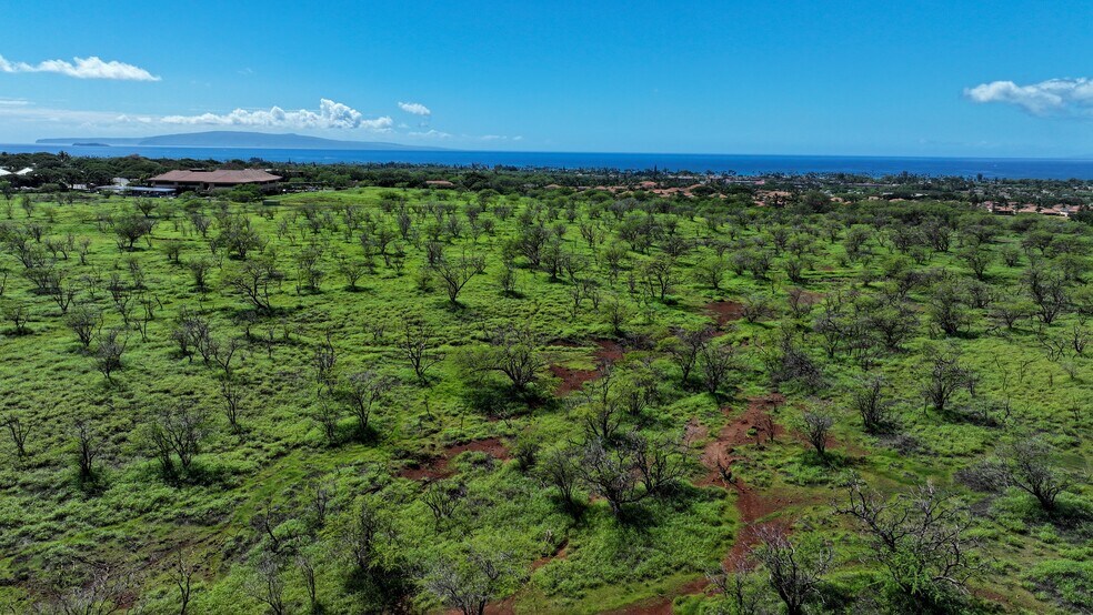 More Photos Of Lipoa Parkway, Kihei Land For Sale