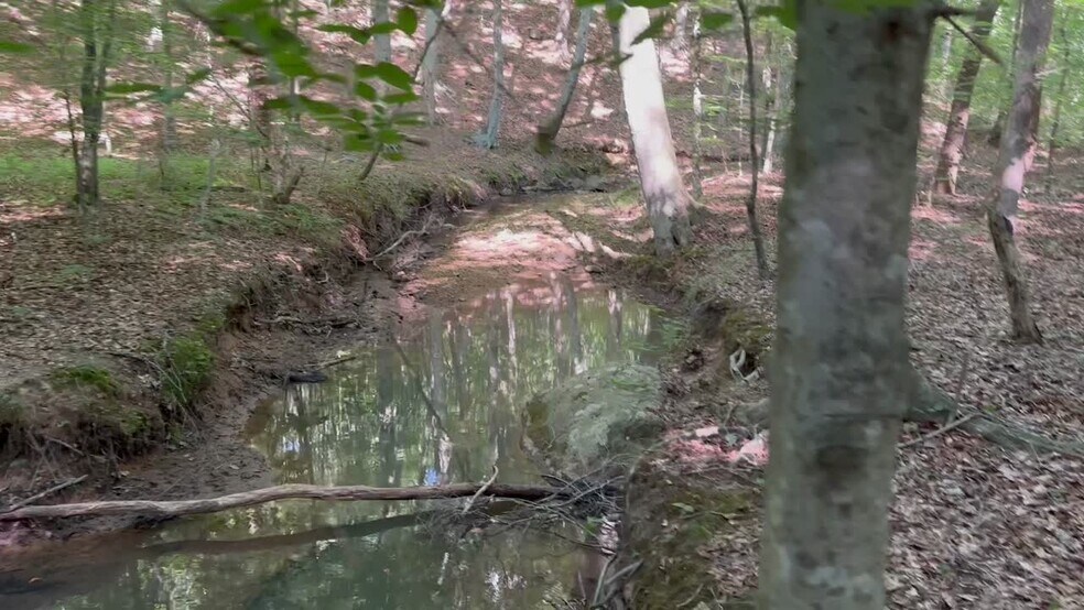 More Photos Of 400 Eden Church rd, Madison Land For Sale