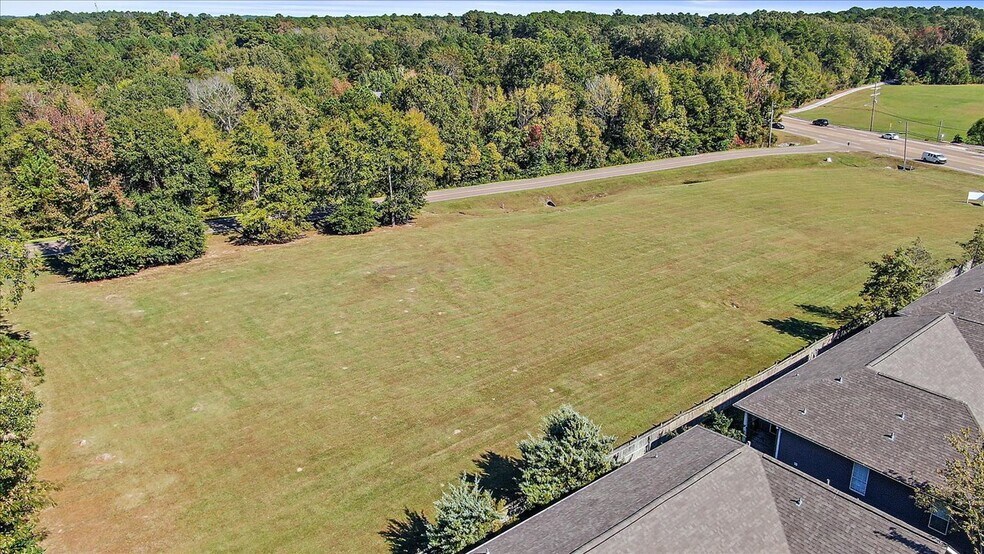 More Photos Of 1449 Old Fannin, Brandon Land For Sale