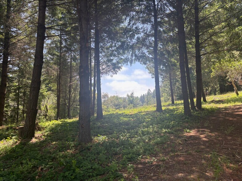 More Photos Of 21380 Siri rd, Guerneville Land For Sale