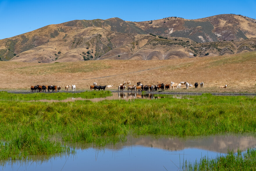 Primary Photo Of 48400 Reliz Canyon Rd, Greenfield Land For Sale