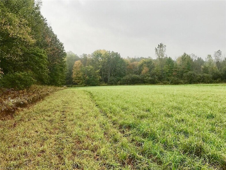 More Photos Of Bryant & SR 82 rd, Garrettsville Land For Sale