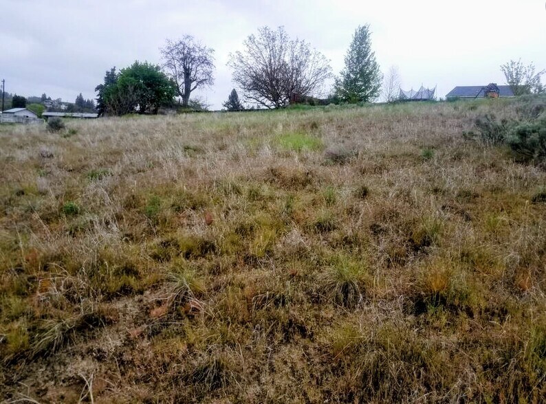 More Photos Of 222 Kenwood st, Omak Land For Sale