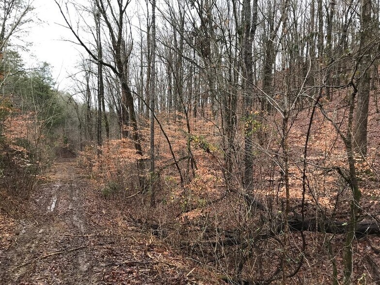 More Photos Of Old Knoxville Highway, Sevierville Land For Sale
