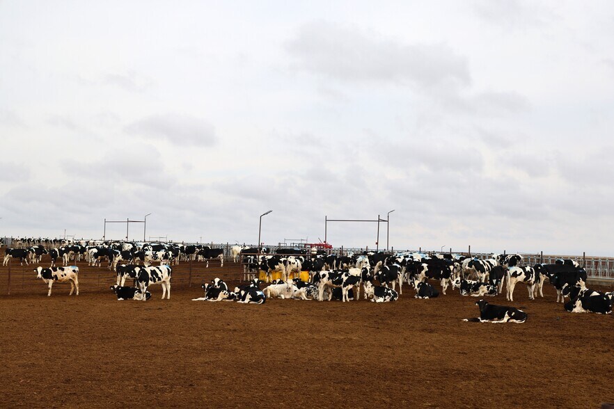 More Photos Of 11905 Co Rd 5, Merino Land For Sale