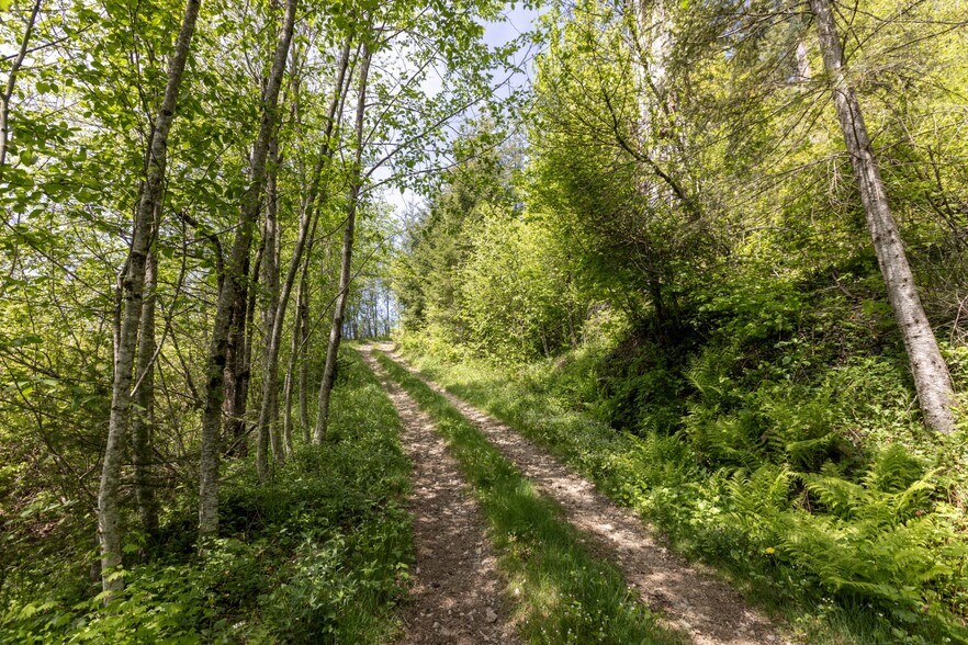 More Photos Of 0 Snag Mountain Road, Washougal Land For Sale