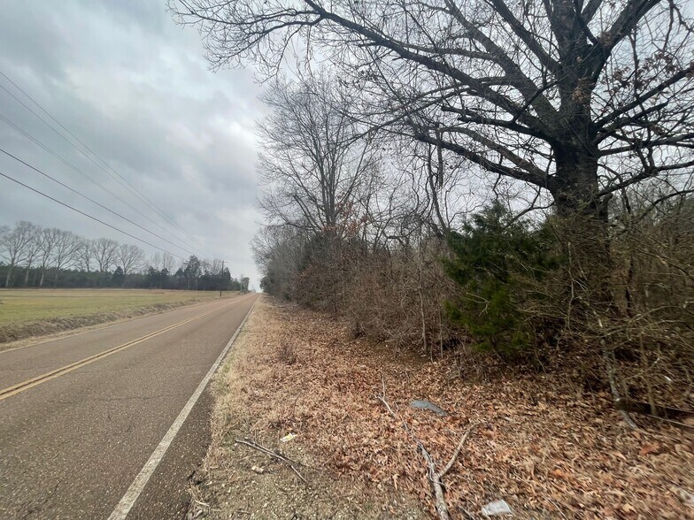 More Photos Of 0 Hwy 70 & Browns Church Road hwy, Jackson Land For Sale