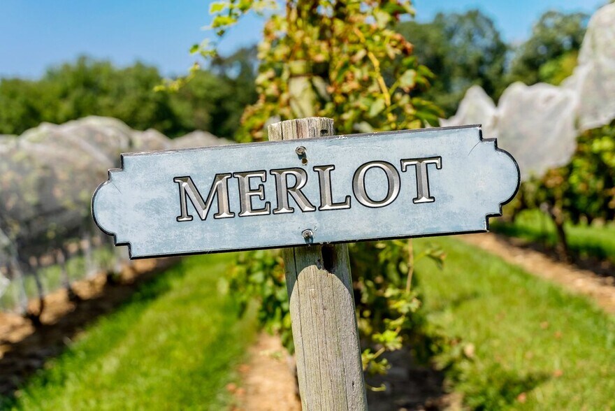 More Photos Of 115 Cow Hill Rd, Clinton Winery Vineyard For Sale